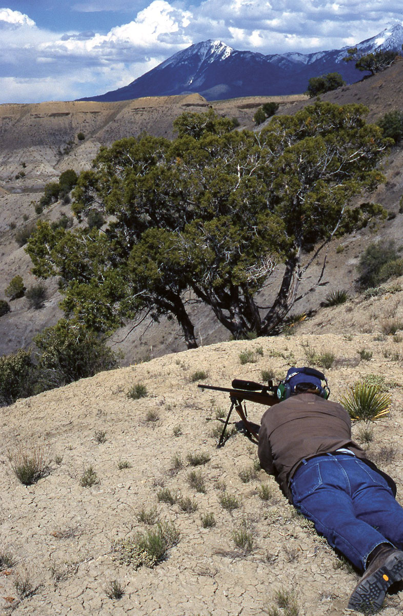 When marmots or prairie dogs are close to 300 yards away, a little extra velocity from a 223 Remington may prove worthwhile.
